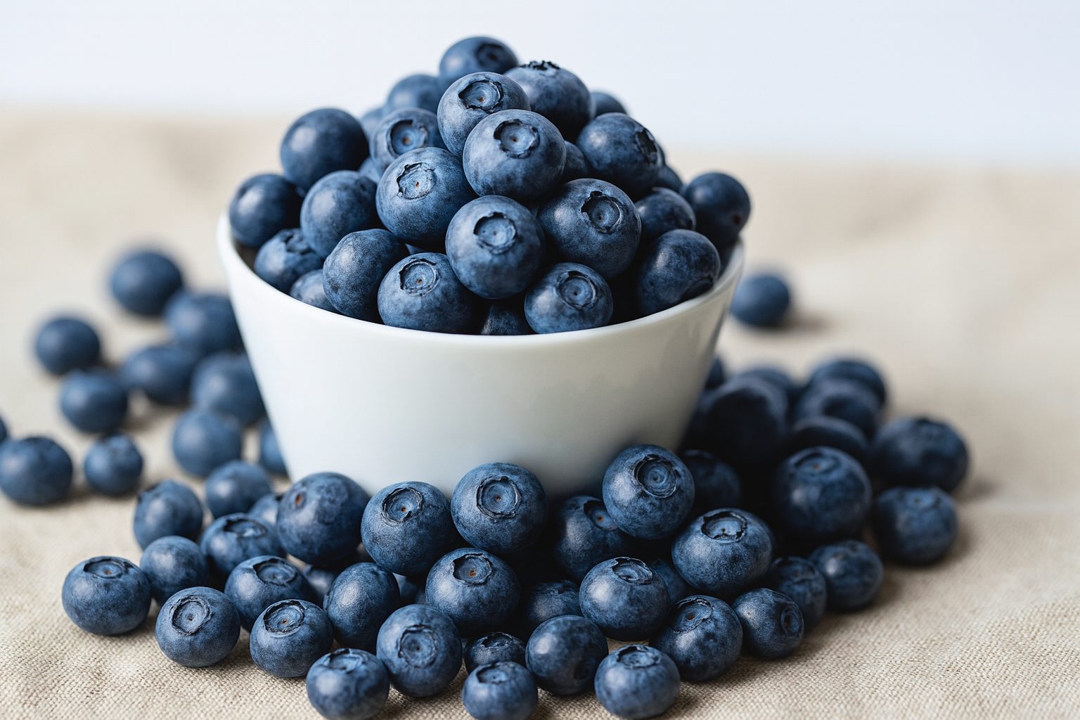 10 Reason You Should Eat Blueberries Everyday